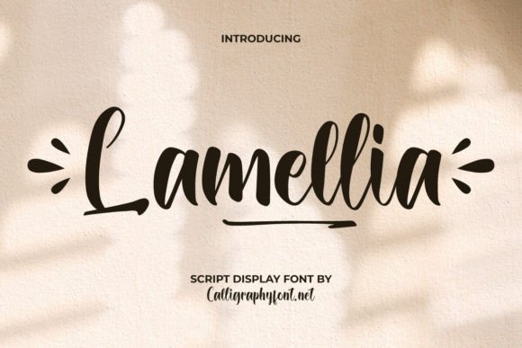 Lamellia: A Playful Script Font for Modern Web Design Projects